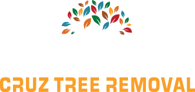 Cruz Tree Removal